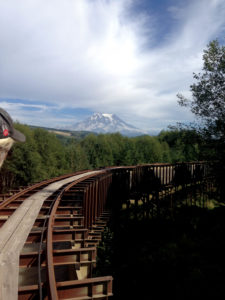 Photo 1 Scenic view of Mount Rainier along the flume path. All photos courtesy of Layfield Environmental.